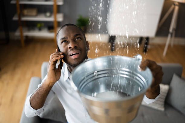 Best Water damage restoration insurance claims  in Glenvar Heights, FL