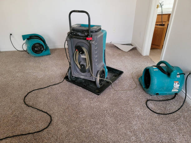 Water damage restoration process in FL