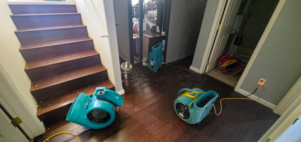 Best Flood damage cleanup  in Glenvar Heights, FL