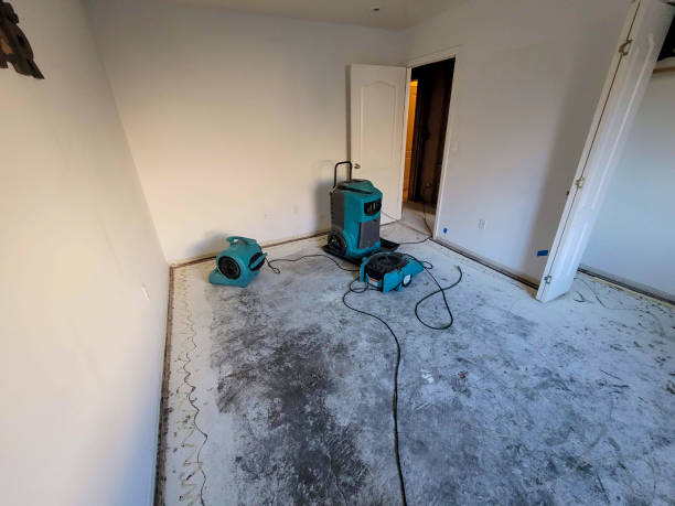 Best Water damage cleanup near me  in Glenvar Heights, FL