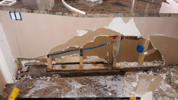 Best Basement water damage restoration  in Glenvar Heights, FL