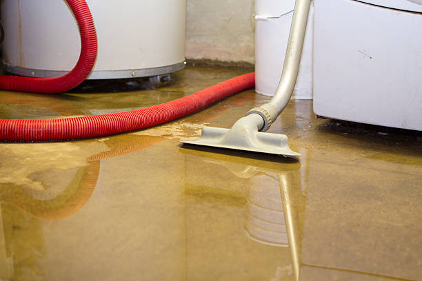 Best Professional water damage repair  in Glenvar Heights, FL