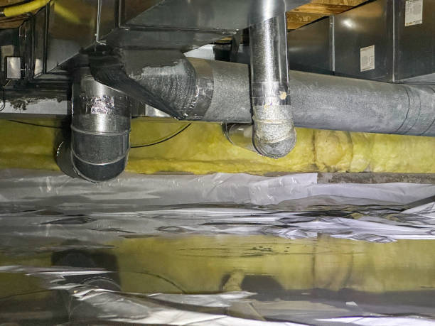 Best Water damage restoration near me  in Glenvar Heights, FL