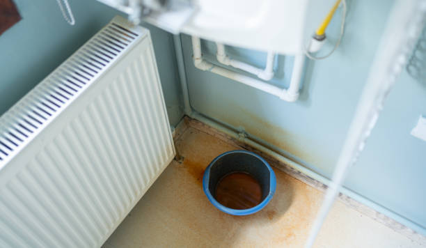 Best Flooded house restoration  in Glenvar Heights, FL