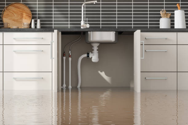 Best Flood restoration services  in Glenvar Heights, FL