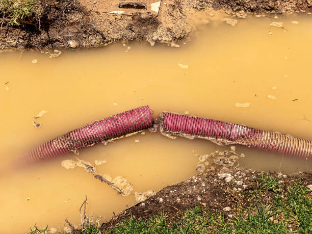 Glenvar Heights, FL Water damage restoration Pros